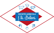 logo Belloni
